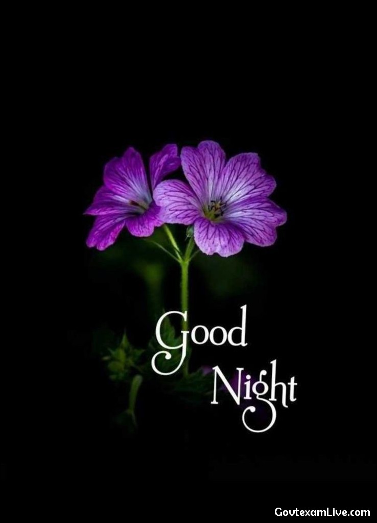 new-good-night-images