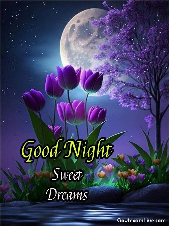 couple-good-night-images