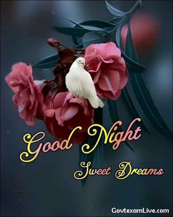 good-night-images-hd