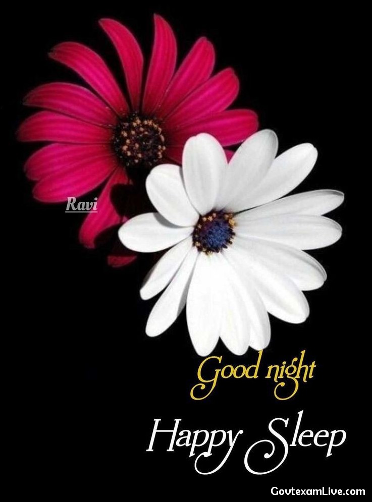good-night-images