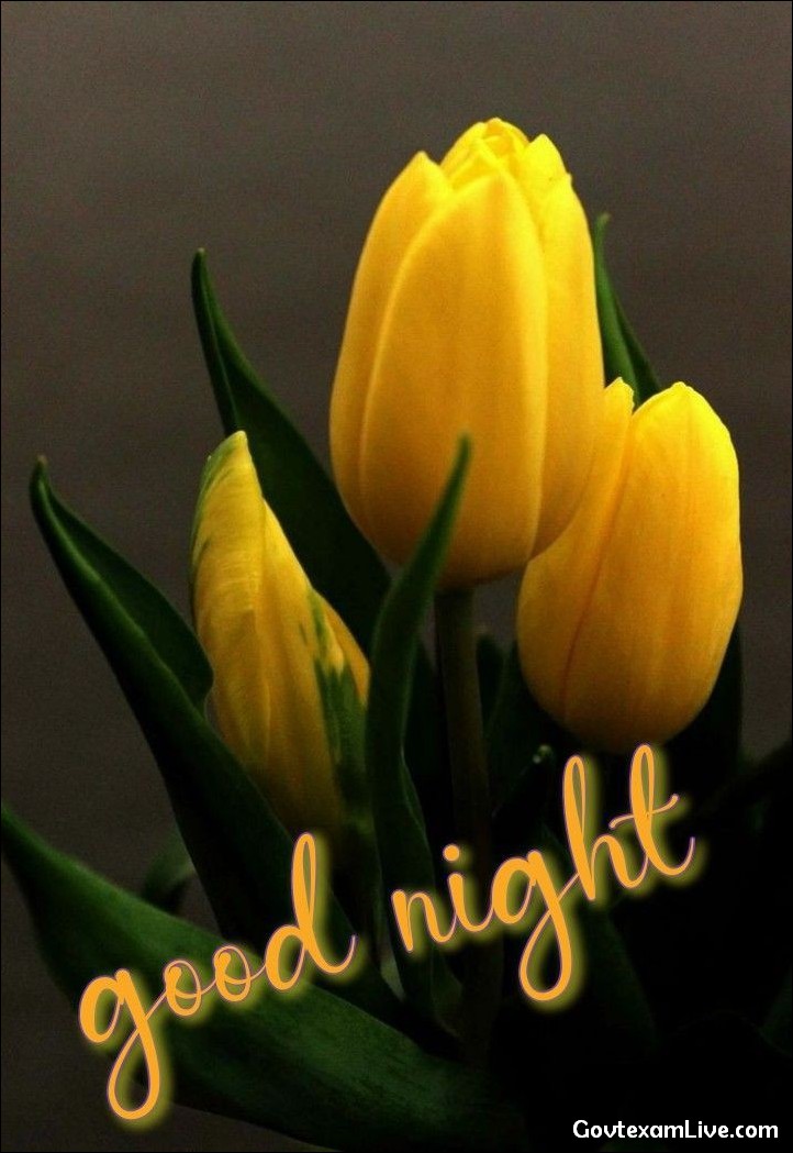 good-night-images