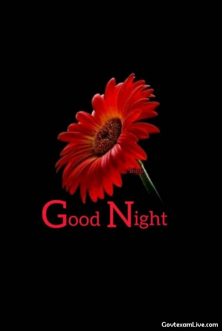 lovely-good-night-images