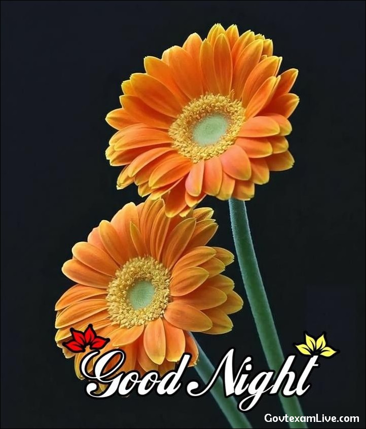 lovely-good-night-images