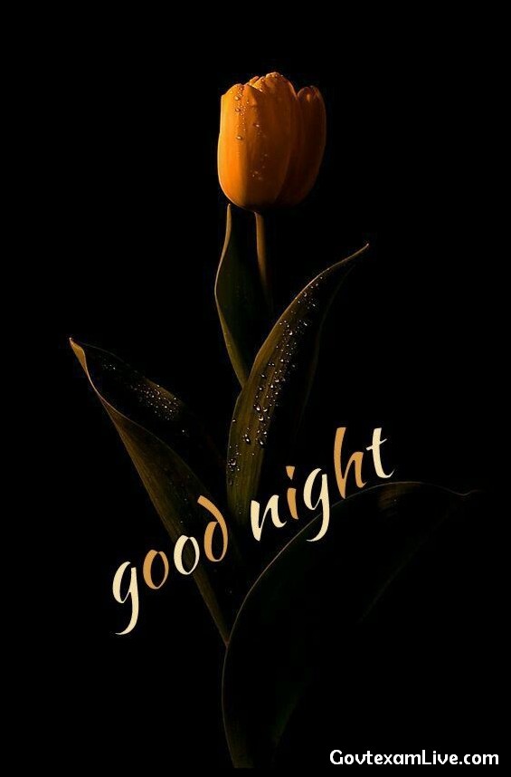 lovely-good-night-images
