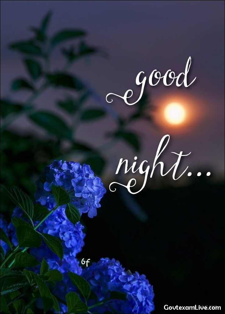 love-good-night-images