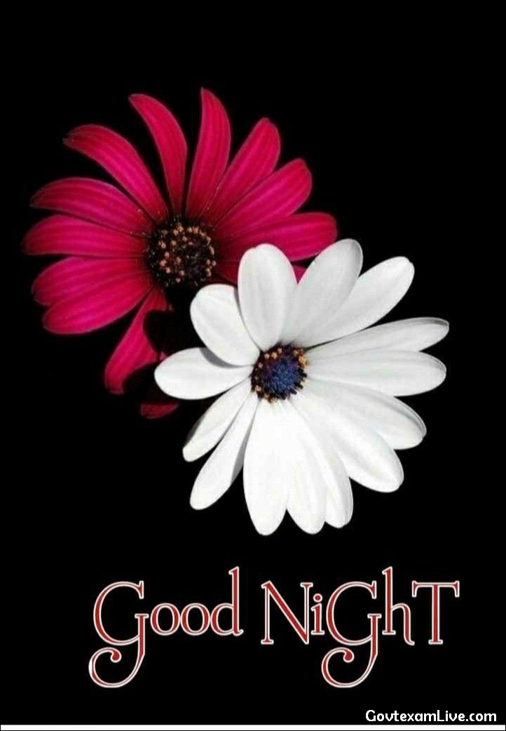 good-night-pic
