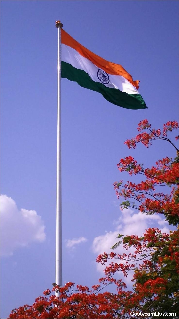 tiranga-dp