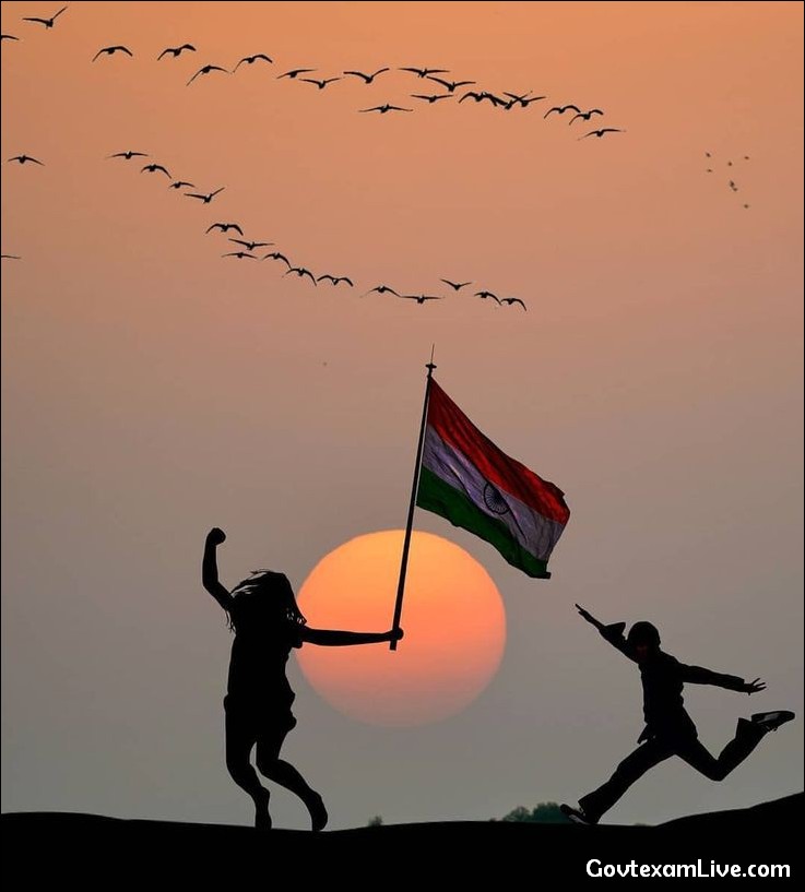 india-flag-dp