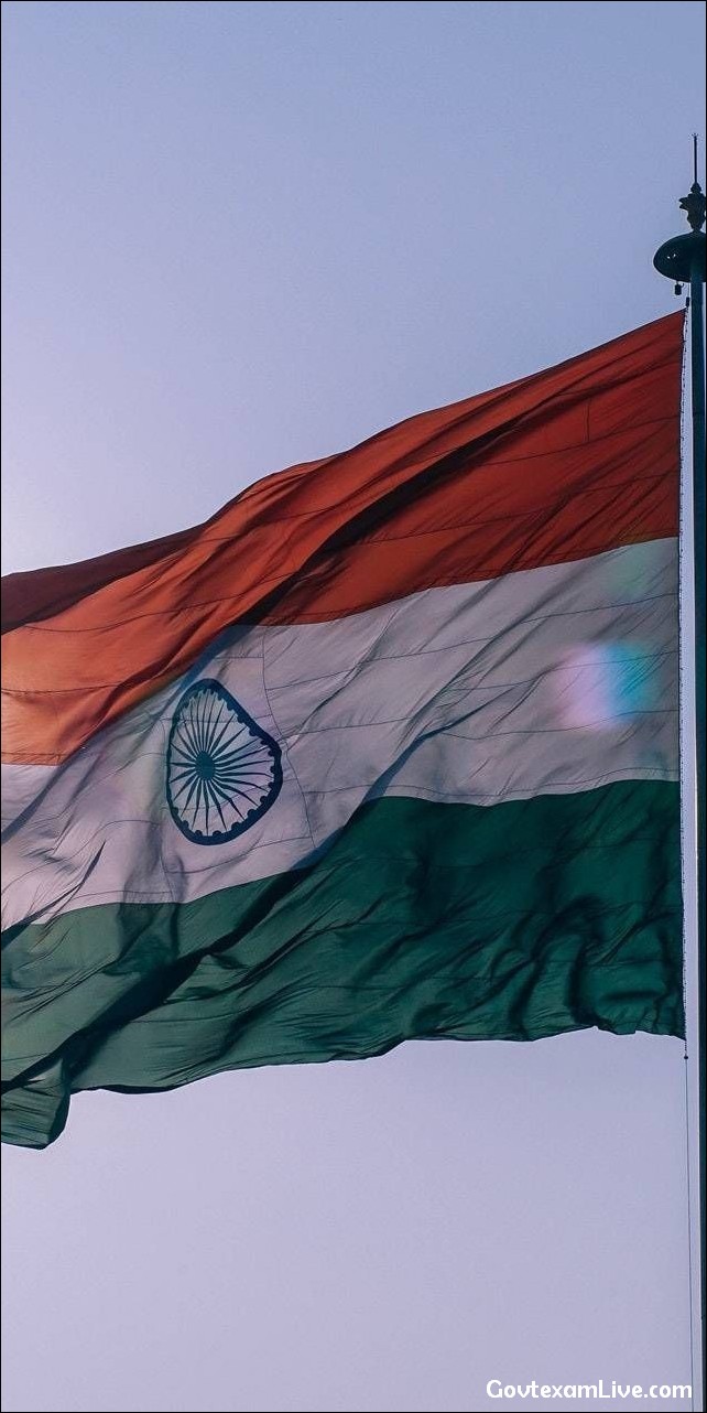 india-flag-dp