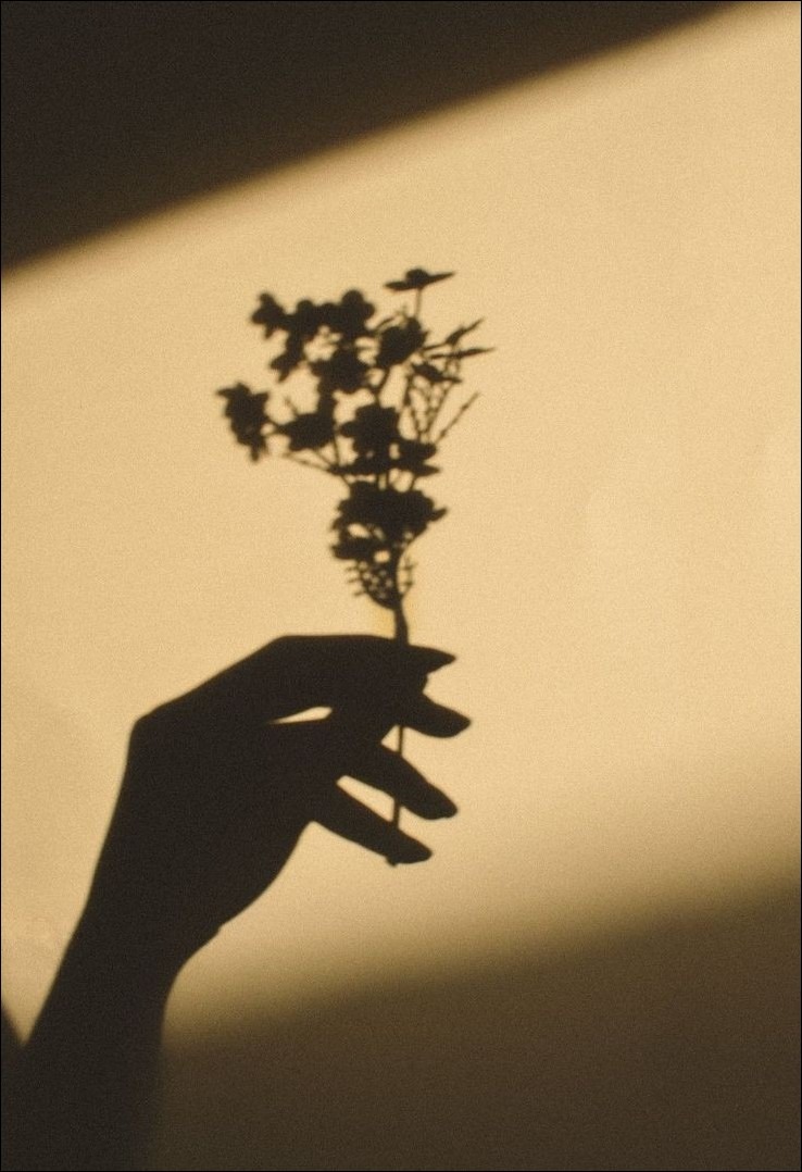 Aesthetic DP for Instagram Aesthetic DP for Instagram