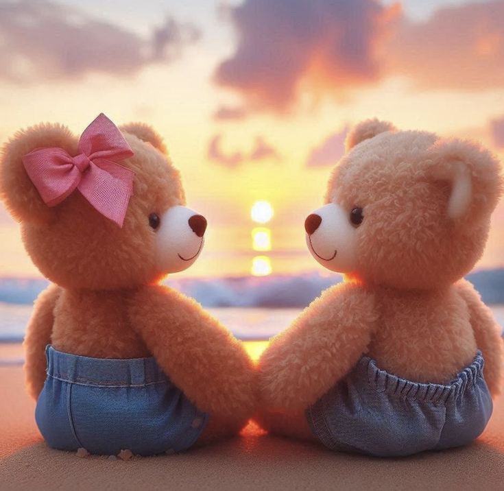 Cute Teddy Bear Cute Teddy Bear