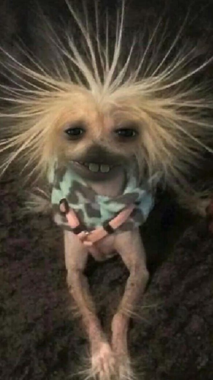 Goofy Ahh Pictures Meme Goofy Ahh Pictures Meme