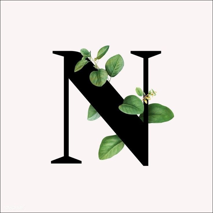 N Name DP Stylish N Name DP Stylish