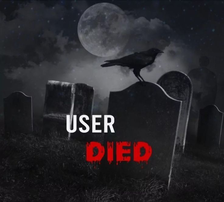 No DP Photo No DP Photo