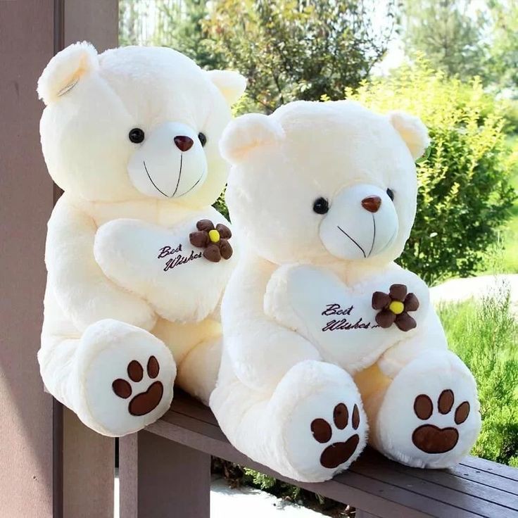 Teddy Bear Wallpapers Teddy Bear Wallpapers