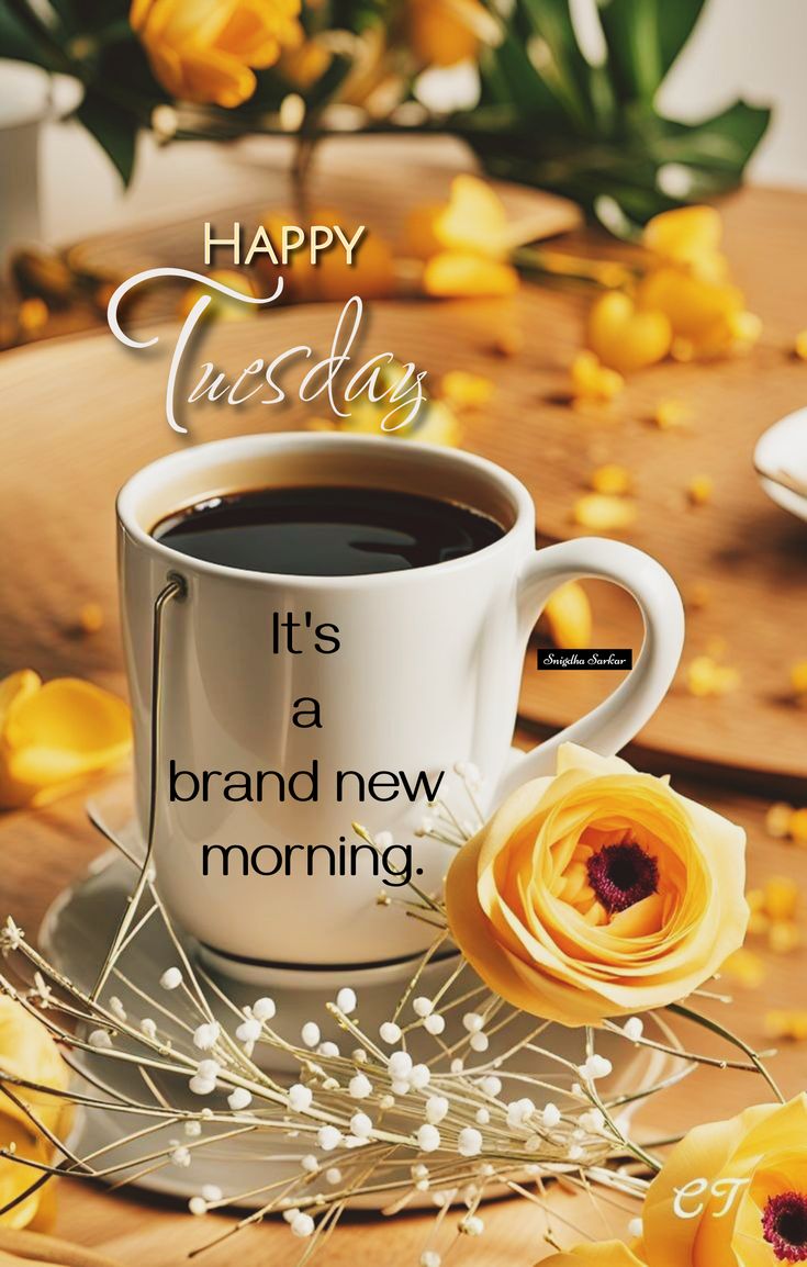 Beautiful Good Morning Tuesday Wishes Beautiful Good Morning Tuesday Wishes