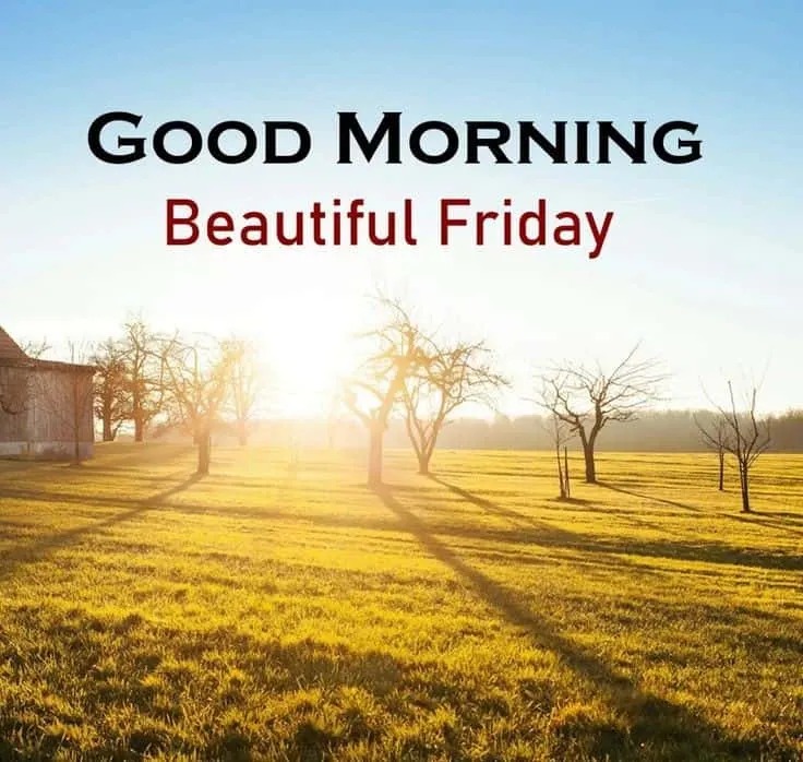 Good Morning Friday Images Good Morning Friday Images