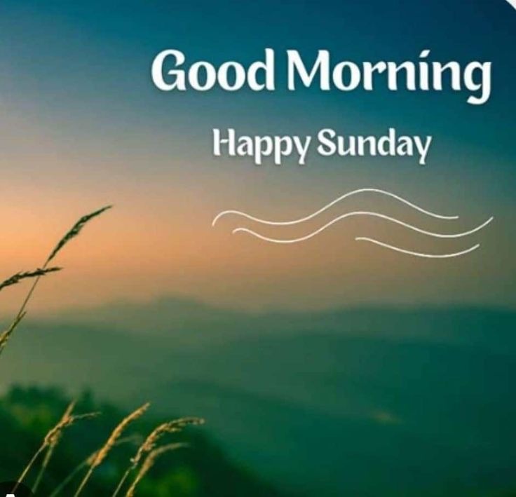Good Morning Saturday Photos Good Morning Saturday Photos