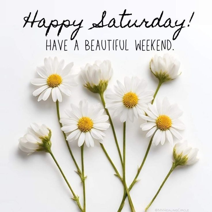 Good Morning Saturday Pictures Good Morning Saturday Pictures