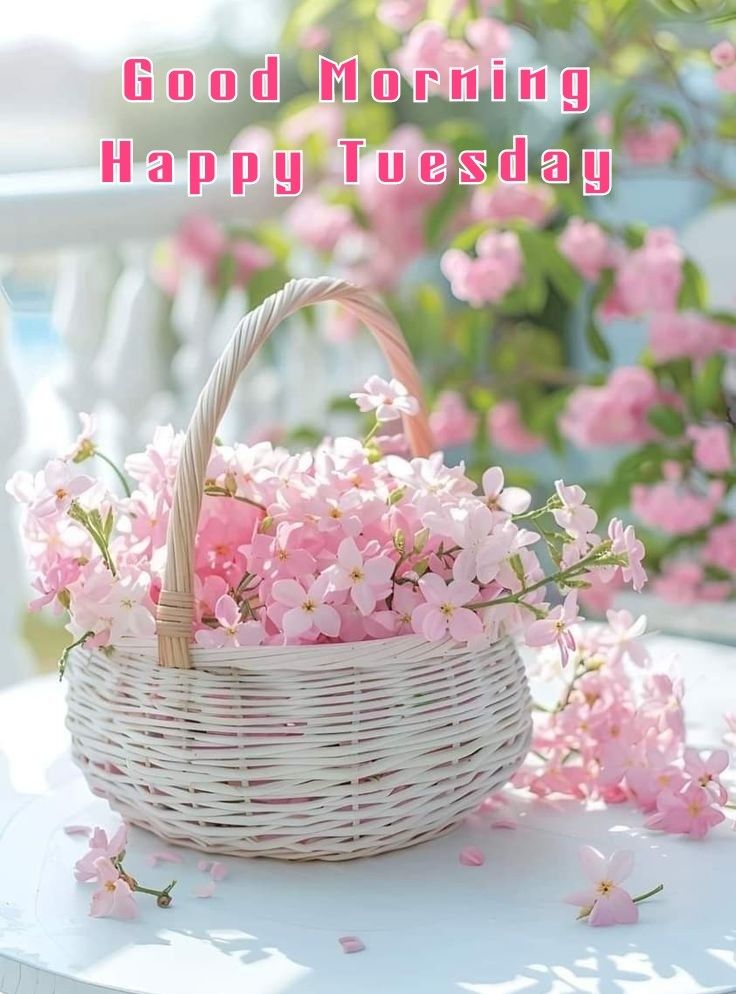 Good Morning Tuesday God Images In Hindi Good Morning Tuesday God Images In Hindi