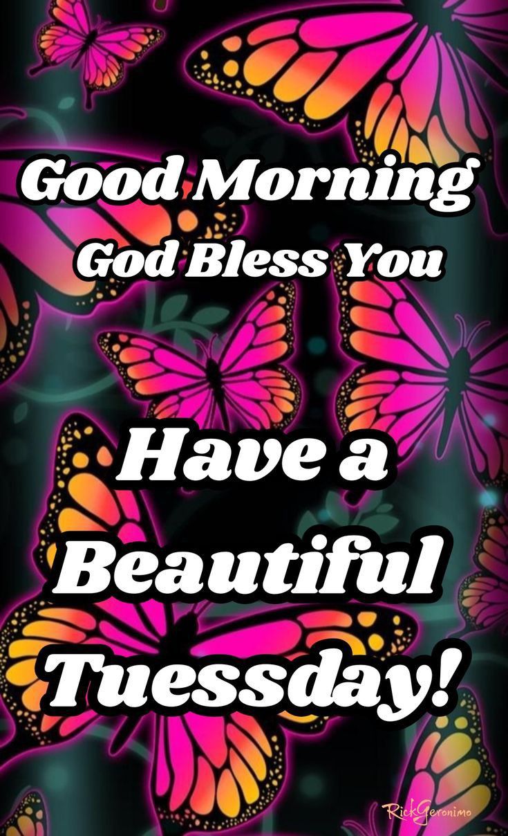 Good Morning Tuesday Images For Whatsapp Good Morning Tuesday Images For Whatsapp