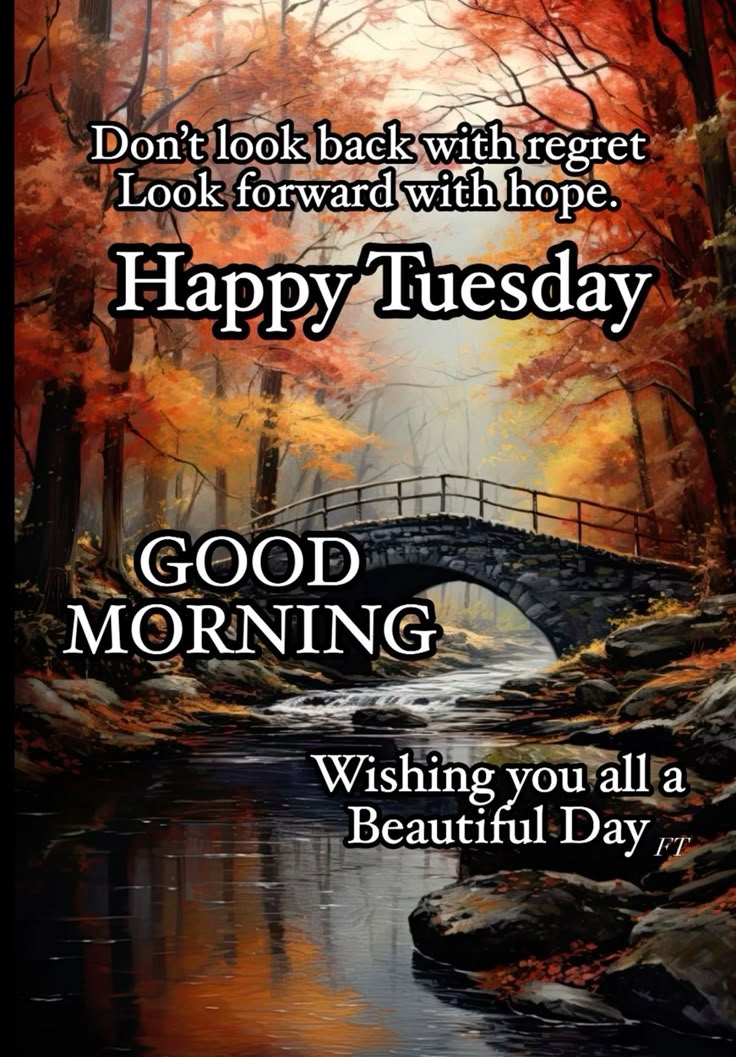 Good Morning Tuesday Images Good Morning Tuesday Images