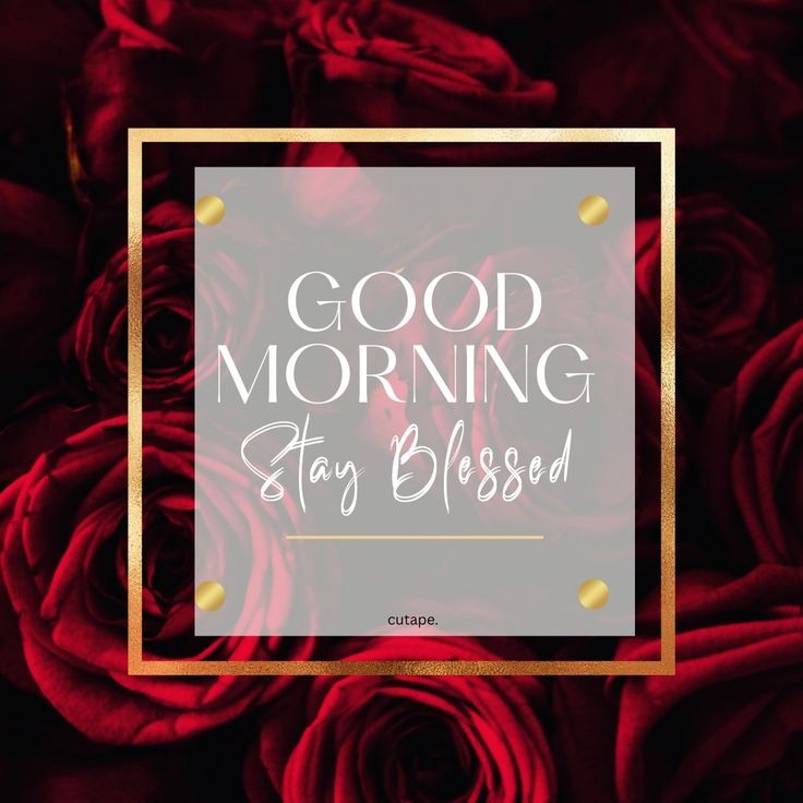 Good Morning Tuesday Photos Good Morning Tuesday Photos