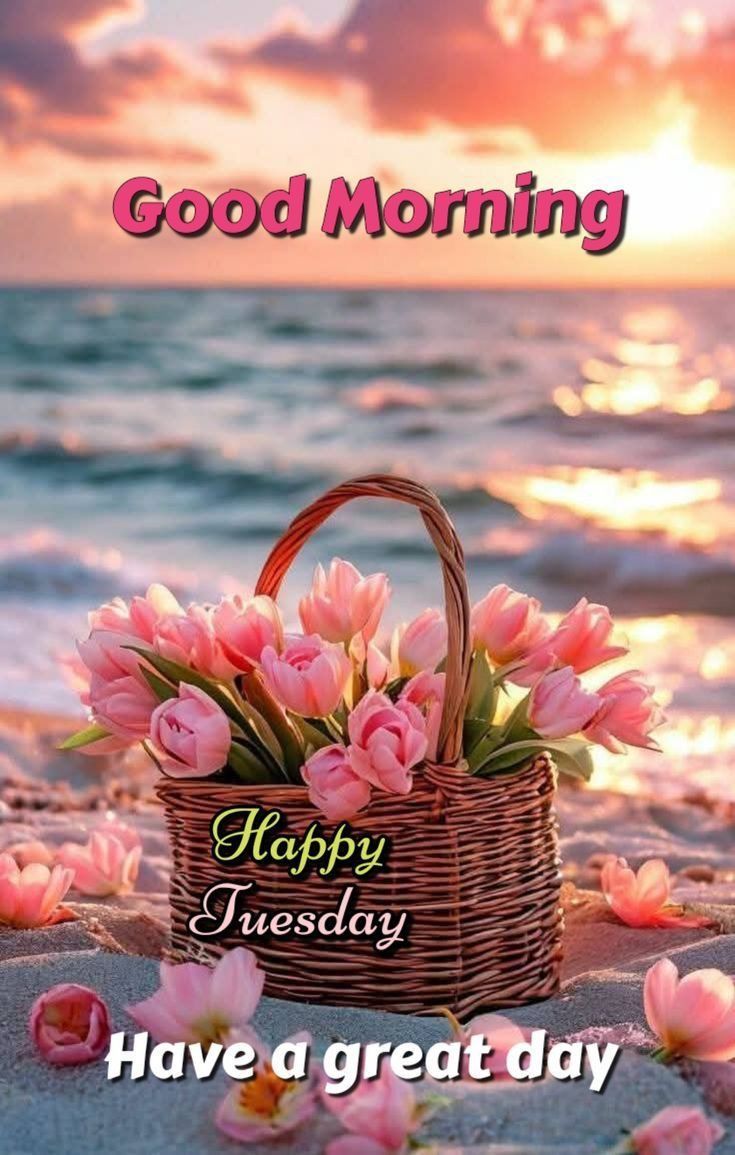 Good Morning Tuesday Pictures Good Morning Tuesday Pictures