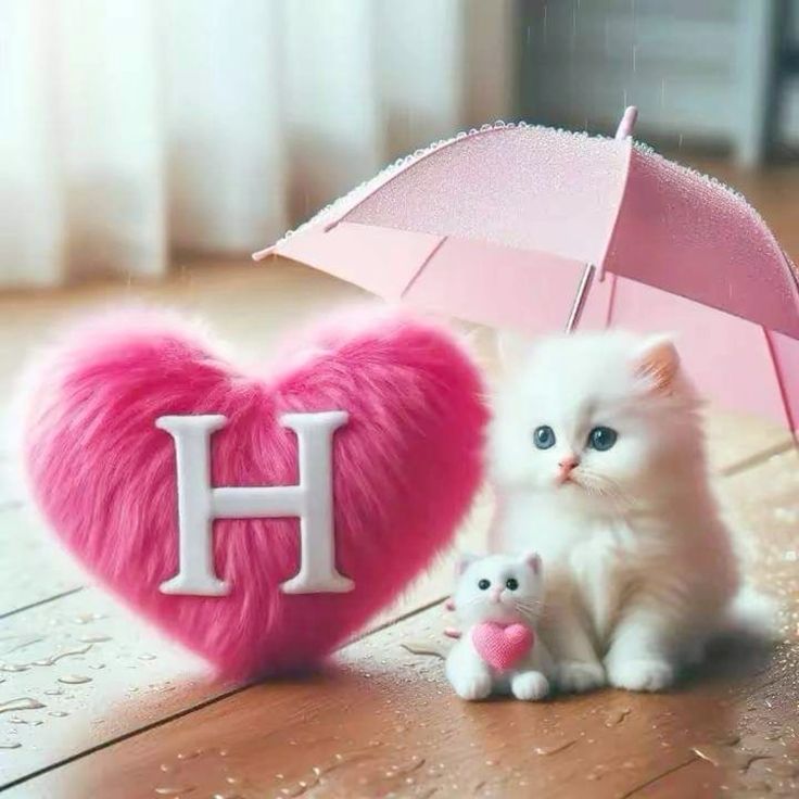 H Name DP