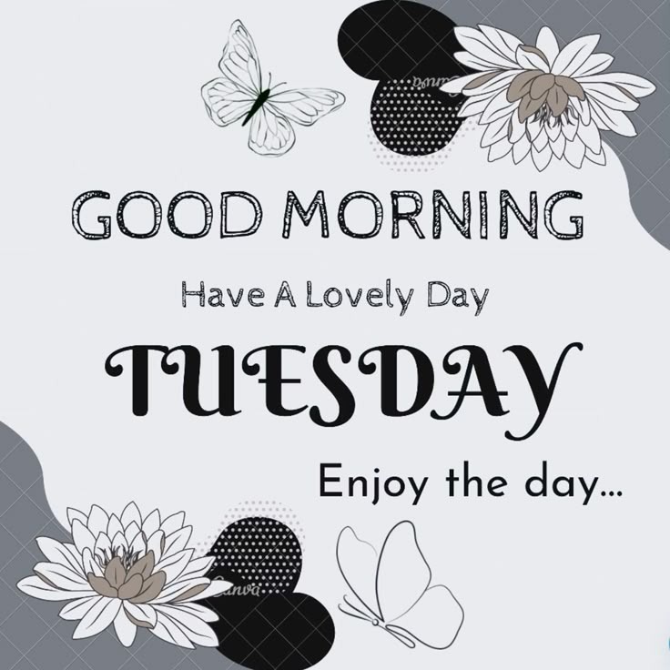 Happy Tuesday Good Morning Wishes Happy Tuesday Good Morning Wishes