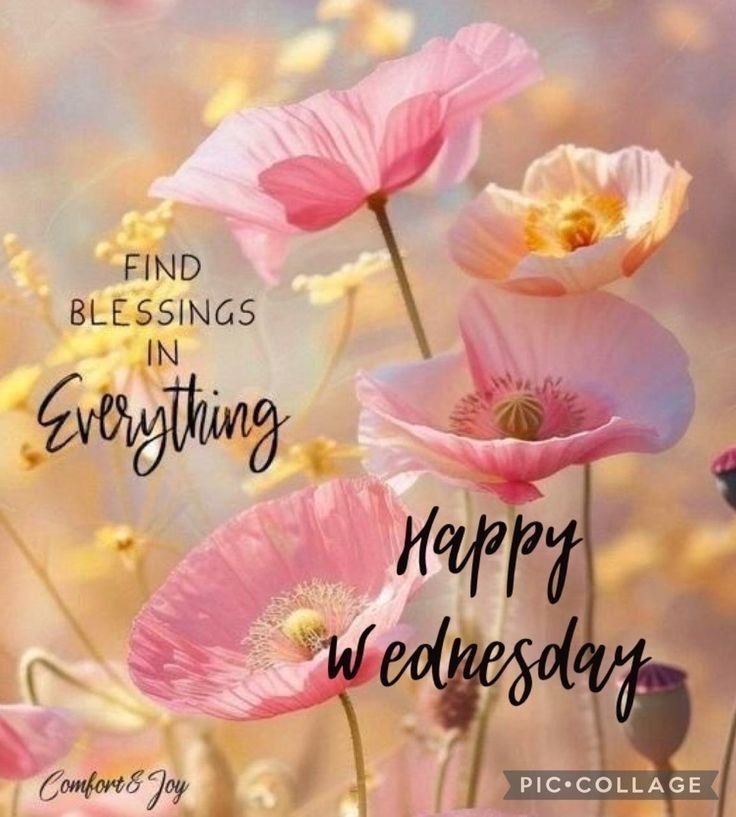 Beautiful Good Morning Wednesday Wishes Beautiful Good Morning Wednesday Wishes