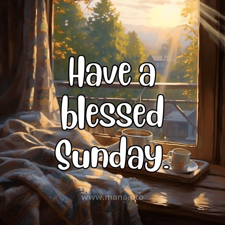 Good Morning Sunday Images For Whatsapp Good Morning Sunday Images For Whatsapp