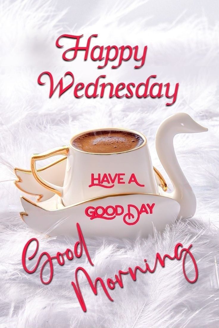 Good Morning Wednesday Good Morning Wednesday