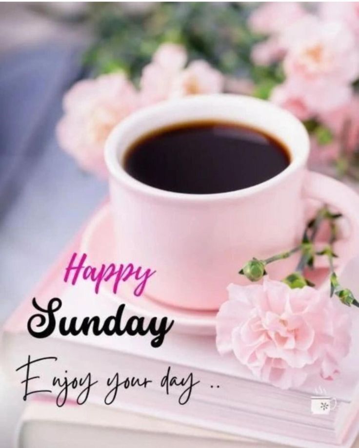 Positive Good Morning Sunday Pictures Positive Good Morning Sunday Pictures