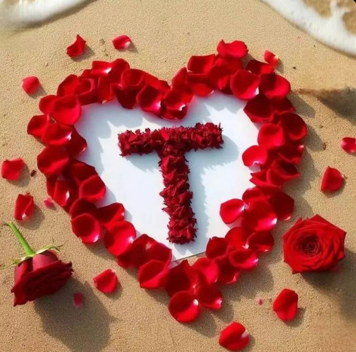 T Name DP