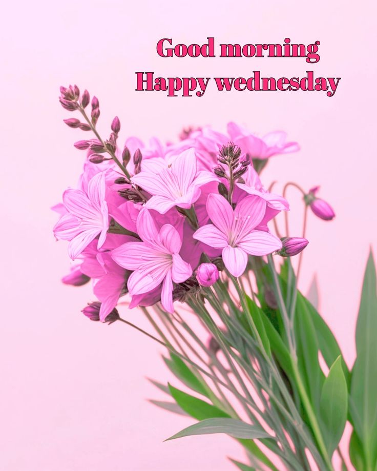 Wednesday Good Morning Images God Wednesday Good Morning Images God